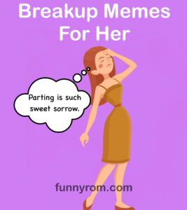 20+ Breakup Memes For Her