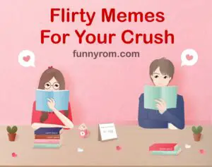 30+ Flirty Memes For Your Crush